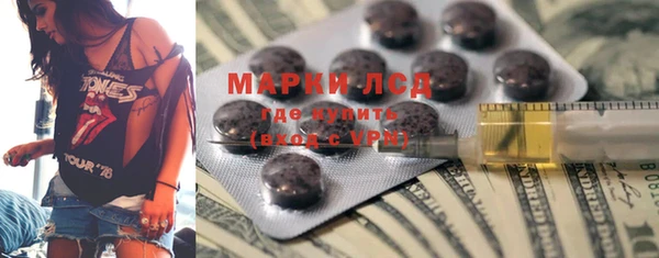 ГАЛЛЮЦИНОГЕННЫЕ ГРИБЫ Новозыбков