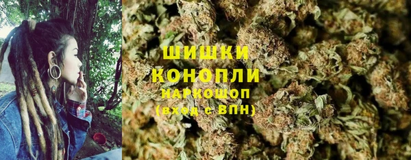 крисы Нея