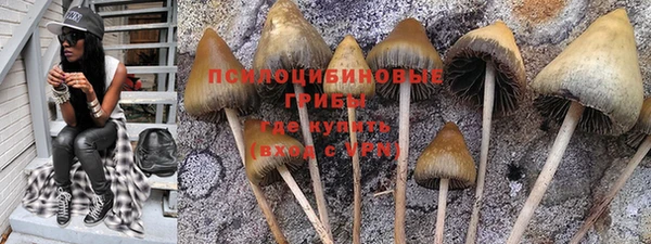 прущие крисы Нефтекумск