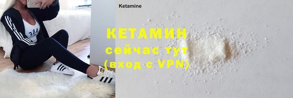 крисы Нея