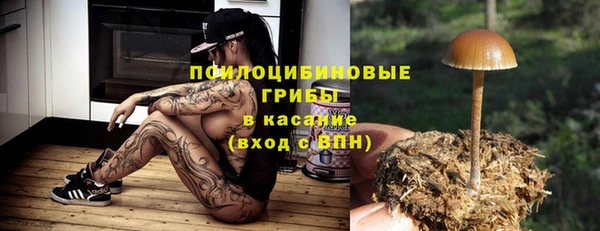 крисы Нея