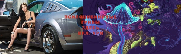 прущие крисы Нефтекумск